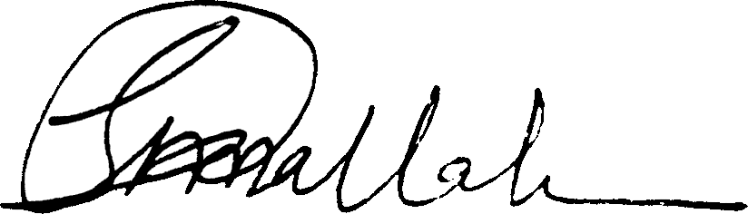 Said Abdallah's signature